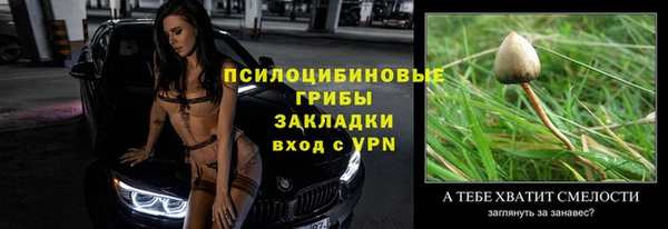 MDMA Premium VHQ Горнозаводск