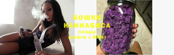гидра Гусиноозёрск