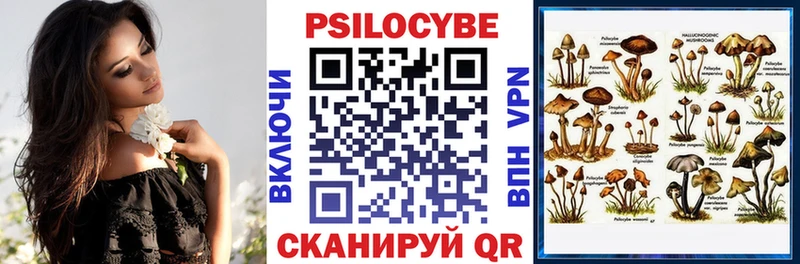 Галлюциногенные грибы Cubensis  Купить где  Мураши 