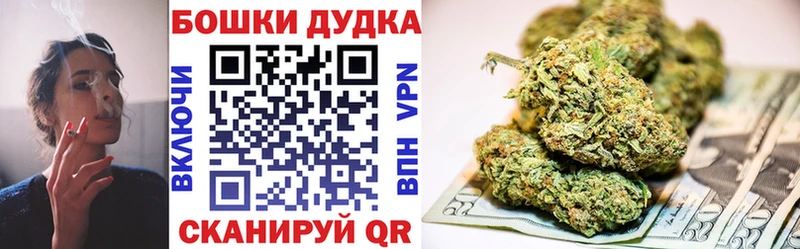 Купить где  Мураши  Конопля гибрид 